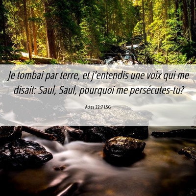 Picture 06 - Actes 22:7 LSG - Je tombai par terre, et j'entendis une voix qui - Bible Verse Picture