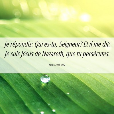 Picture 06 - Actes 22:8 LSG - Je répondis: Qui es-tu, Seigneur? Et il me dit: - Bible Verse Picture
