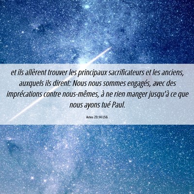 Picture 06 - Actes 23:14 LSG - et ils allèrent trouver les principaux - Bible Verse Picture