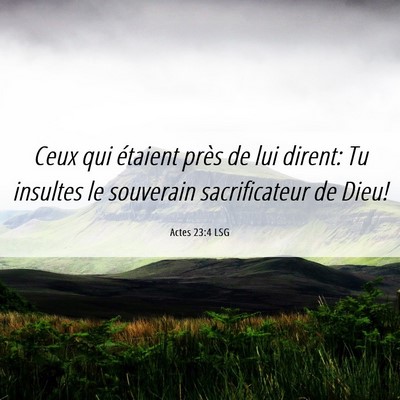 Picture 06 - Actes 23:4 LSG - Ceux qui étaient près de lui dirent: Tu - Bible Verse Picture