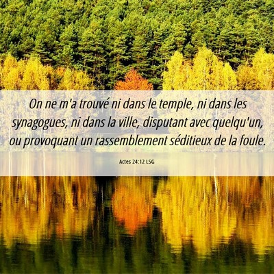 Picture 06 - Actes 24:12 LSG - On ne m'a trouvé ni dans le temple, ni dans les - Bible Verse Picture