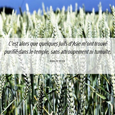 Picture 06 - Actes 24:18 LSG - C'est alors que quelques Juifs d'Asie m'ont - Bible Verse Picture