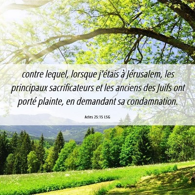 Picture 06 - Actes 25:15 LSG - contre lequel, lorsque j'étais à Jérusalem, - Bible Verse Picture