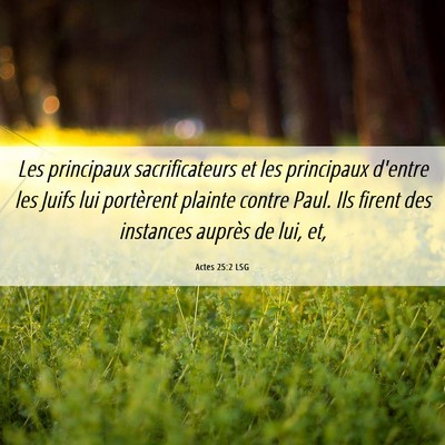 Picture 06 - Actes 25:2 LSG - Les principaux sacrificateurs et les principaux - Bible Verse Picture