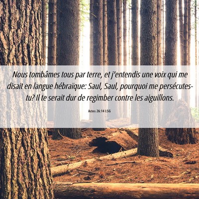 Picture 06 - Actes 26:14 LSG - Nous tombâmes tous par terre, et j'entendis une - Bible Verse Picture