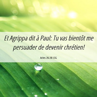 Picture 06 - Actes 26:28 LSG - Et Agrippa dit à Paul: Tu vas bientôt me - Bible Verse Picture