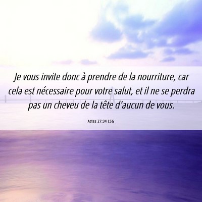 Picture 06 - Actes 27:34 LSG - Je vous invite donc à prendre de la nourriture, - Bible Verse Picture