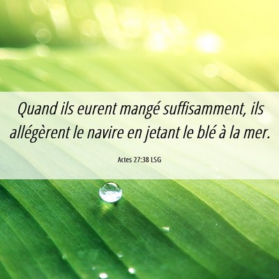 Picture 06 - Actes 27:38 LSG - Quand ils eurent mangé suffisamment, ils - Bible Verse Picture