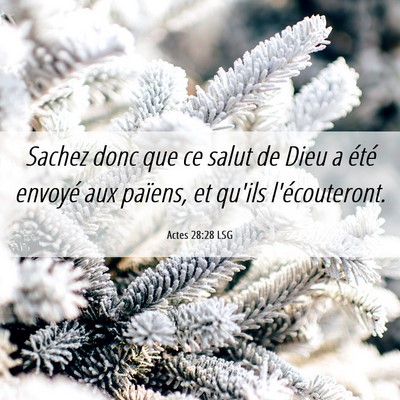 Picture 06 - Actes 28:28 LSG - Sachez donc que ce salut de Dieu a été envoyé - Bible Verse Picture