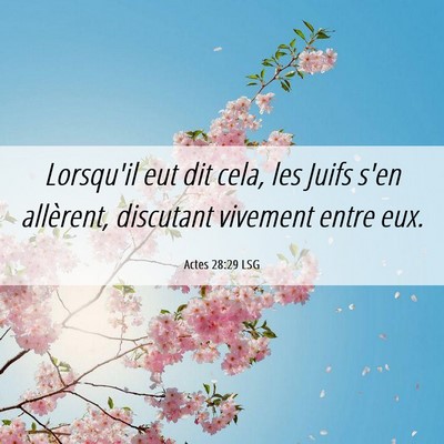 Picture 06 - Actes 28:29 LSG - Lorsqu'il eut dit cela, les Juifs s'en allèrent, - Bible Verse Picture