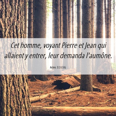 Picture 06 - Actes 3:3 LSG - Cet homme, voyant Pierre et Jean qui allaient y - Bible Verse Picture