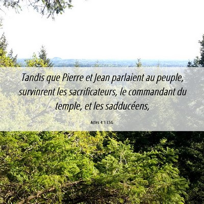 Picture 06 - Actes 4:1 LSG - Tandis que Pierre et Jean parlaient au peuple, - Bible Verse Picture