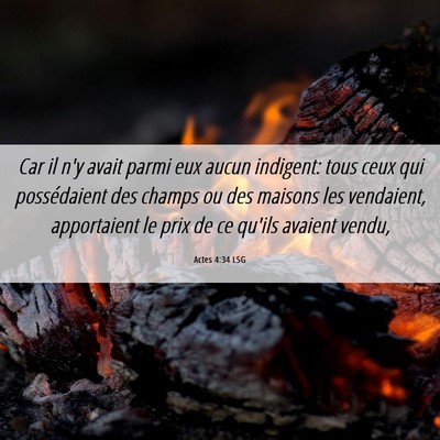 Picture 06 - Actes 4:34 LSG - Car il n'y avait parmi eux aucun indigent: tous - Bible Verse Picture