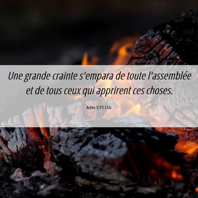 Picture 06 - Actes 5:11 LSG - Une grande crainte s'empara de toute l'assemblée - Bible Verse Picture