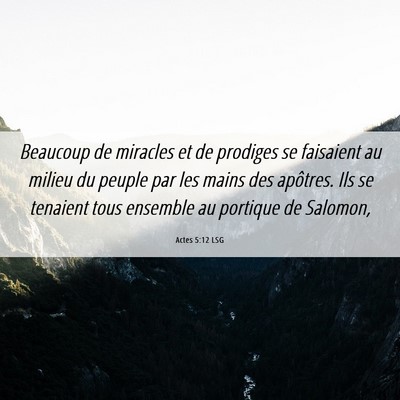 Picture 06 - Actes 5:12 LSG - Beaucoup de miracles et de prodiges se faisaient - Bible Verse Picture