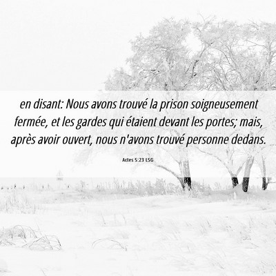 Picture 06 - Actes 5:23 LSG - en disant: Nous avons trouvé la prison - Bible Verse Picture