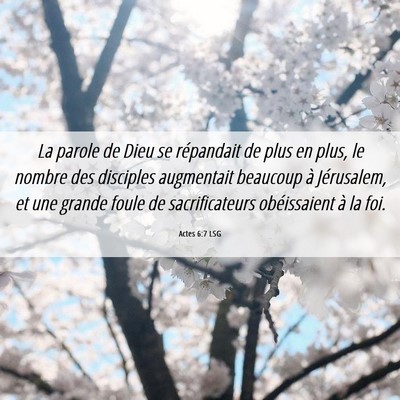 Picture 06 - Actes 6:7 LSG - La parole de Dieu se répandait de plus en plus, - Bible Verse Picture