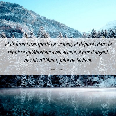 Picture 06 - Actes 7:16 LSG - et ils furent transportés à Sichem, et - Bible Verse Picture