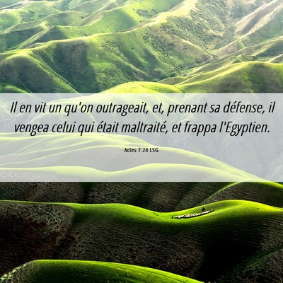 Picture 06 - Actes 7:24 LSG - Il en vit un qu'on outrageait, et, prenant sa - Bible Verse Picture