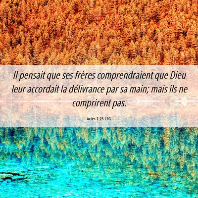 Picture 06 - Actes 7:25 LSG - Il pensait que ses frères comprendraient que - Bible Verse Picture