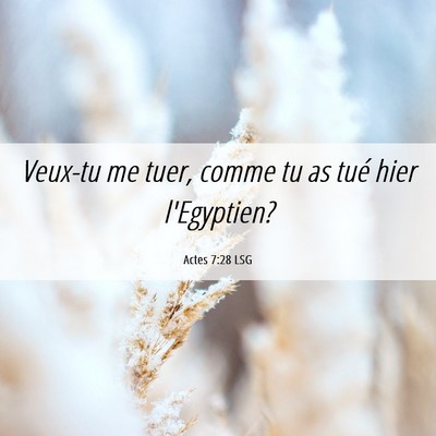 Picture 06 - Actes 7:28 LSG - Veux-tu me tuer, comme tu as tué hier - Bible Verse Picture