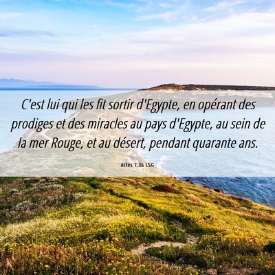 Picture 06 - Actes 7:36 LSG - C'est lui qui les fit sortir d'Egypte, en - Bible Verse Picture