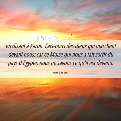 Picture 06 - Actes 7:40 LSG - en disant à Aaron: Fais-nous des dieux qui - Bible Verse Picture