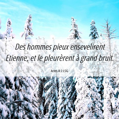 Picture 06 - Actes 8:2 LSG - Des hommes pieux ensevelirent Etienne, et le - Bible Verse Picture
