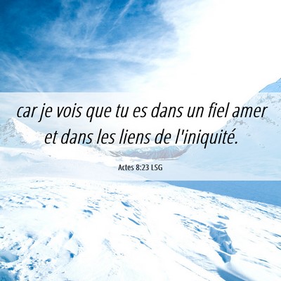 Picture 06 - Actes 8:23 LSG - car je vois que tu es dans un fiel amer et dans - Bible Verse Picture