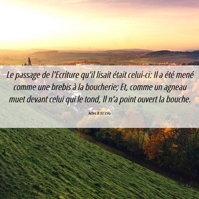 Picture 06 - Actes 8:32 LSG - Le passage de l'Ecriture qu'il lisait était - Bible Verse Picture