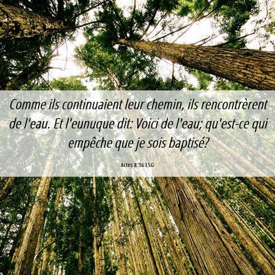 Picture 06 - Actes 8:36 LSG - Comme ils continuaient leur chemin, ils - Bible Verse Picture