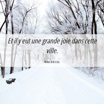 Picture 06 - Actes 8:8 LSG - Et il y eut une grande joie dans cette - Bible Verse Picture