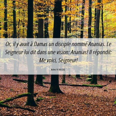Picture 06 - Actes 9:10 LSG - Or, il y avait à Damas un disciple nommé - Bible Verse Picture