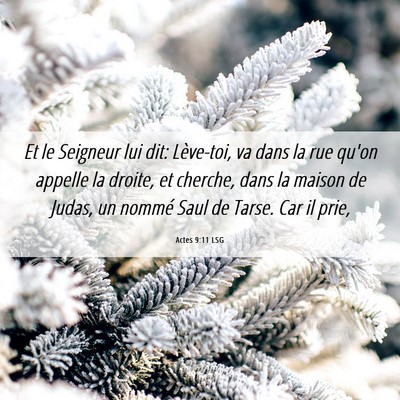 Picture 06 - Actes 9:11 LSG - Et le Seigneur lui dit: Lève-toi, va dans la rue - Bible Verse Picture