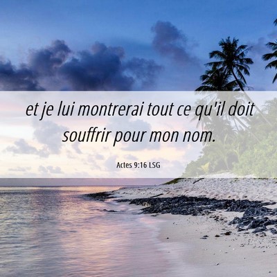 Picture 06 - Actes 9:16 LSG - et je lui montrerai tout ce qu'il doit souffrir - Bible Verse Picture