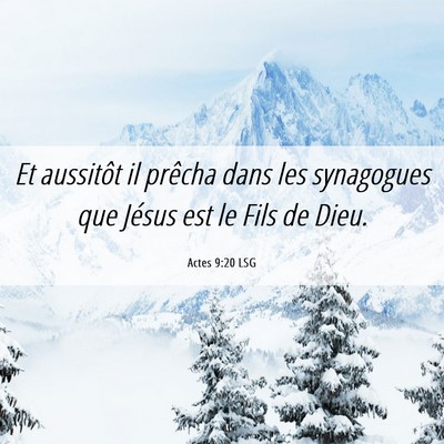 Picture 06 - Actes 9:20 LSG - Et aussitôt il prêcha dans les synagogues que - Bible Verse Picture