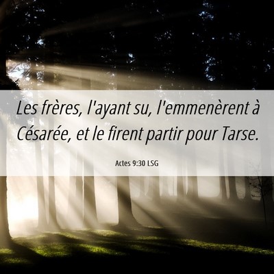 Picture 06 - Actes 9:30 LSG - Les frères, l'ayant su, l'emmenèrent à - Bible Verse Picture