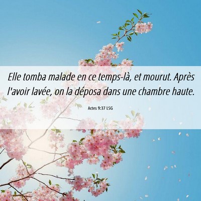 Picture 06 - Actes 9:37 LSG - Elle tomba malade en ce temps-là, et mourut. - Bible Verse Picture