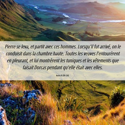 Picture 06 - Actes 9:39 LSG - Pierre se leva, et partit avec ces hommes. - Bible Verse Picture