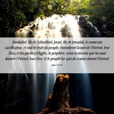 Picture 06 - Aggée 1:12 LSG - Zorobabel, fils de Schealthiel, Josué, fils de - Bible Verse Picture