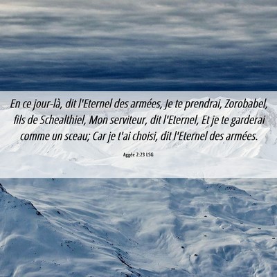 Picture 06 - Aggée 2:23 LSG - En ce jour-là, dit l'Eternel des armées, Je te - Bible Verse Picture