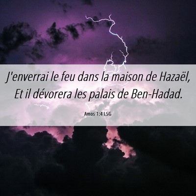 Picture 06 - Amos 1:4 LSG - J'enverrai le feu dans la maison de Hazaël, Et - Bible Verse Picture