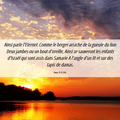 Picture 06 - Amos 3:12 LSG - Ainsi parle l'Eternel: Comme le berger arrache de - Bible Verse Picture