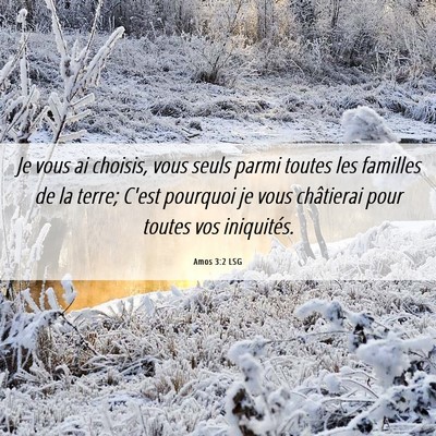 Picture 06 - Amos 3:2 LSG - Je vous ai choisis, vous seuls parmi toutes les - Bible Verse Picture
