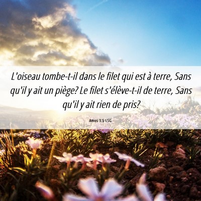 Picture 06 - Amos 3:5 LSG - L'oiseau tombe-t-il dans le filet qui est à - Bible Verse Picture