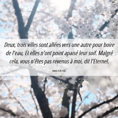 Picture 06 - Amos 4:8 LSG - Deux, trois villes sont allées vers une autre - Bible Verse Picture