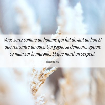 Picture 06 - Amos 5:19 LSG - Vous serez comme un homme qui fuit devant un lion - Bible Verse Picture