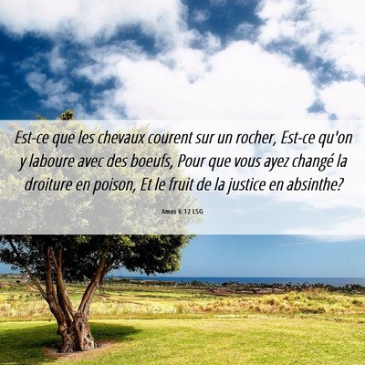 Picture 06 - Amos 6:12 LSG - Est-ce que les chevaux courent sur un rocher, - Bible Verse Picture