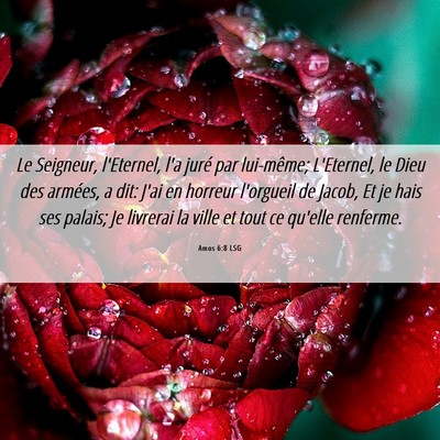 Picture 06 - Amos 6:8 LSG - Le Seigneur, l'Eternel, l'a juré par lui-même; - Bible Verse Picture