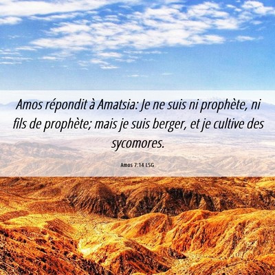Picture 06 - Amos 7:14 LSG - Amos répondit à Amatsia: Je ne suis ni - Bible Verse Picture